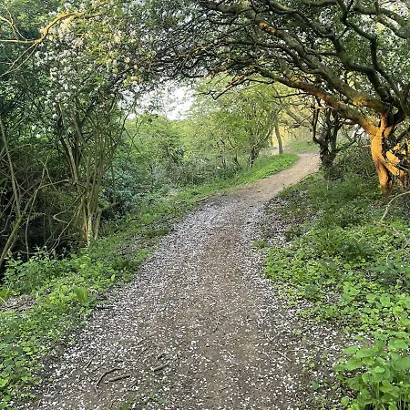 Blue Anchor House בית נופש